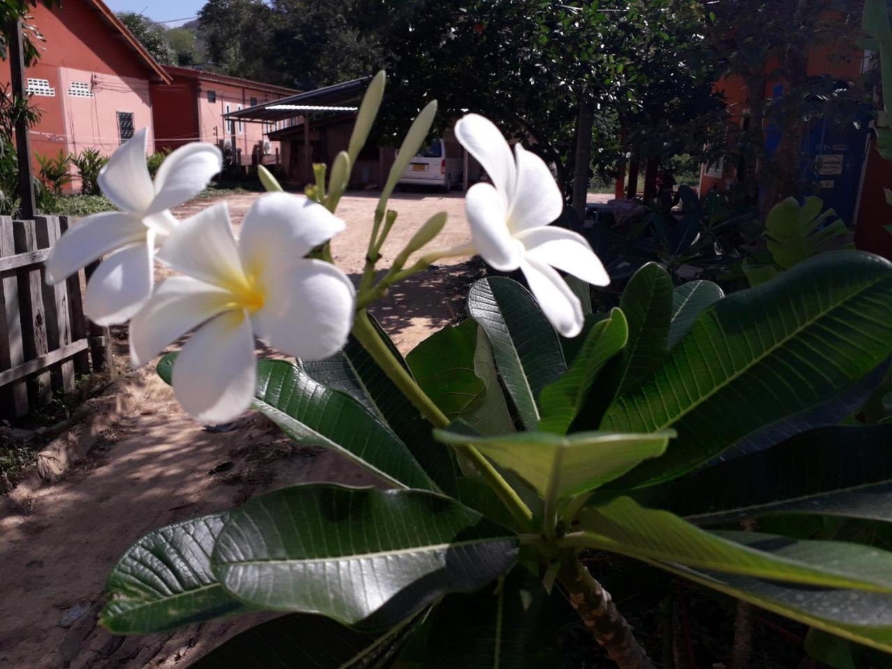 ホテル Lanta Lucky House Ko Lanta エクステリア 写真